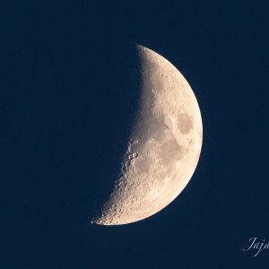 IMG_4619.JPG
