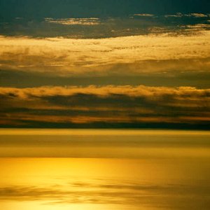 AD2D5ED3-349E-4F05-BA88-D311DEF60A30.jpg