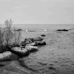 20230825_150708_Original 2.jpg