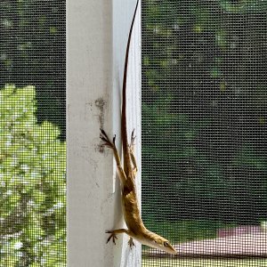 IMG_1801.jpg