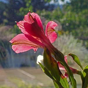 P5300045.jpg