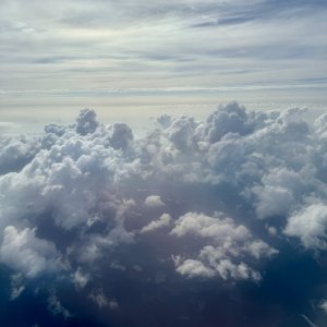 IMG_0318.jpeg