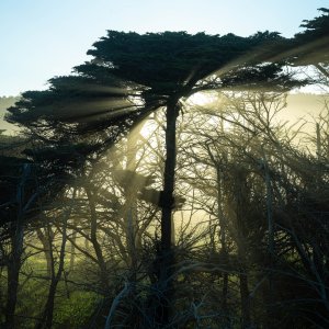 Pacifica-250325-8.jpg