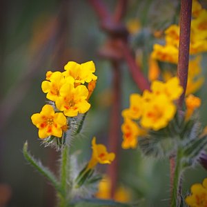 P1014157 xv3.jpg