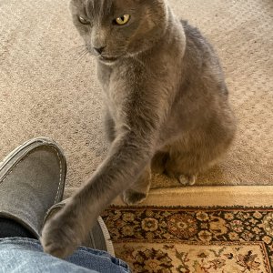 IMG_1119.jpeg