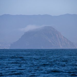 IMG_8208-2.jpg