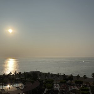 IMG_1420.jpeg