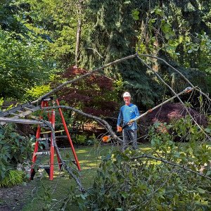 Pole Trimmer_Stihl_HTA_135_1200p.jpg