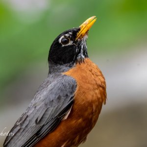 IMG_4658.JPG