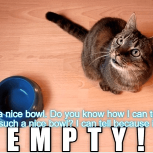 s-nice-bowl-do-know-can-tell-s-such-nice-bowl-can-tell-because-s-empty.png