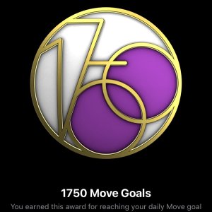 Move1750.jpeg
