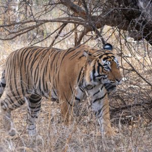 IMG_4688.JPG