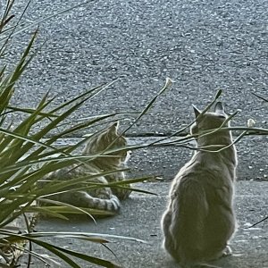 IMG_3842.jpeg