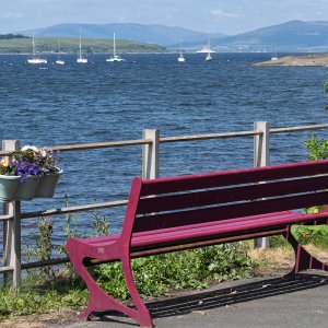 Fairlie20250610.jpg