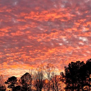Sunset 1-10-2023b.jpg