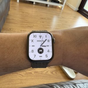 IMG_2944.jpeg