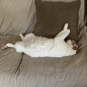 IMG_1815.jpeg