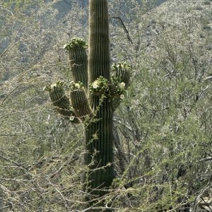 IMG_8878.jpeg