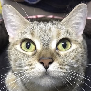 S__61915188.jpg