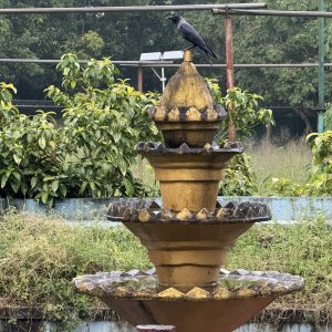 IMG_5650.JPG
