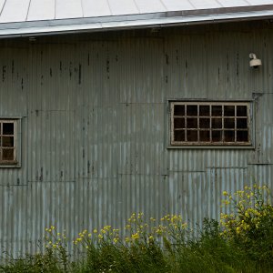 2025-06-17 ~ R52_7989.jpg