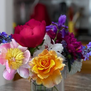 POTD June - 1_a 2.jpeg