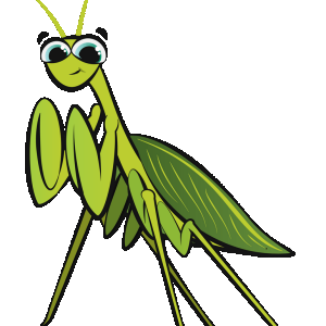 praying-mantis.png