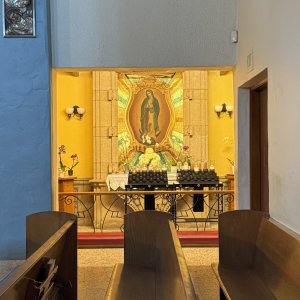 IMG_7707.jpeg