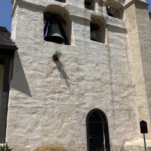 IMG_7695.jpeg