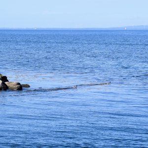 DSC_0084.jpeg