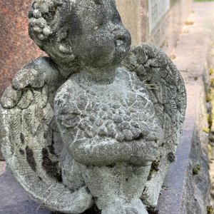 IMG_3578.jpeg