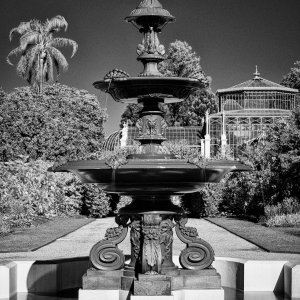 _7RV6077_IR_B&W.jpg