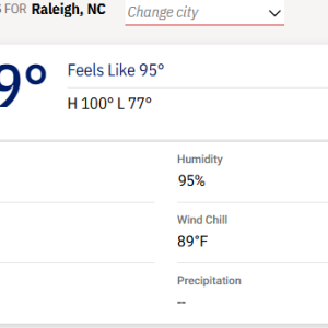 Raleigh Temp.png