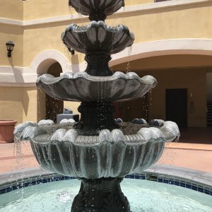 IMG_4341.jpeg