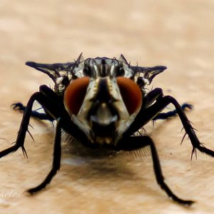 C7624932-C513-4F28-8274-AB9CECEC8F7E.JPG