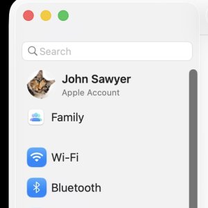 System Settings cartouche, white outline.jpg