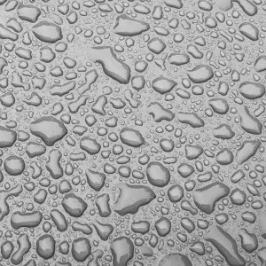 Rain20250624.jpg