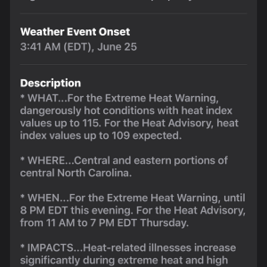Screenshot 2025-06-25 at 07.39.36.jpeg.png