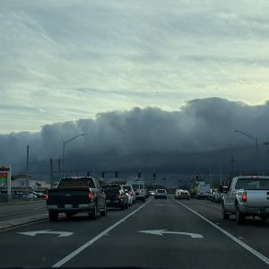 IMG_9192.jpeg
