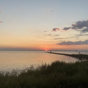 IMG_0397.jpeg