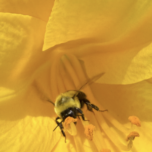 IMG_7360.png