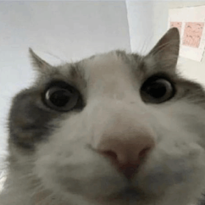 1750990895672.png