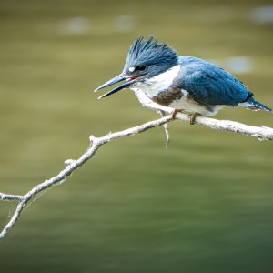 20250627-PEP09550-Edit-2.jpg