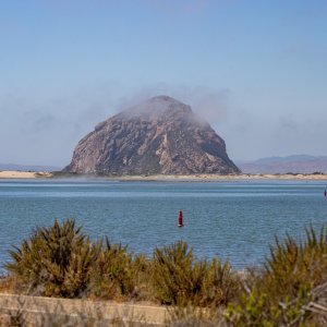 IMG_8455.jpg