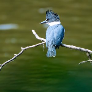 20250627-PEP09494-Edit.jpg