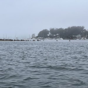 IMG_5152.jpg
