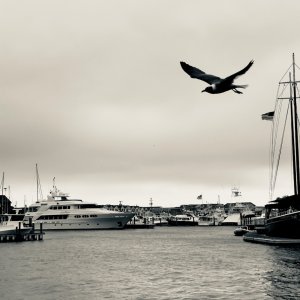 IMG_7181.jpeg