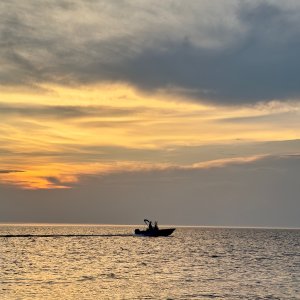 IMG_7167.jpeg