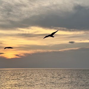 IMG_7166.jpeg