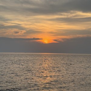 IMG_7164.jpeg